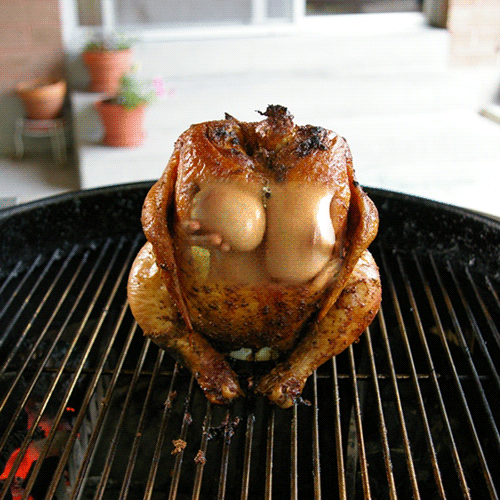 Nőstény grill csirke