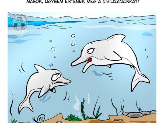 delfinekkis